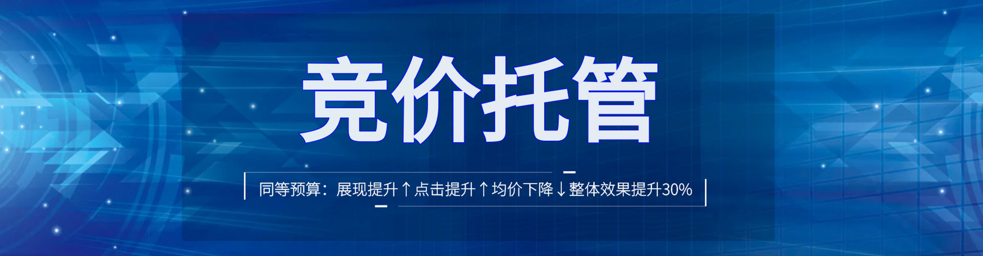 龙子湖百度推广运营